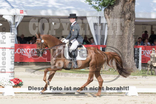 FEI European Championship Eventing 2017