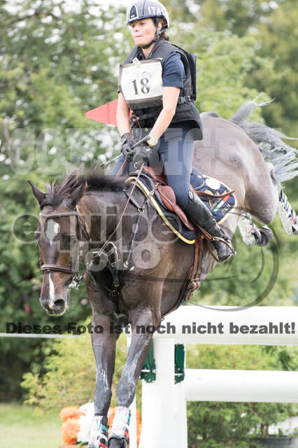 FEI European Championship
