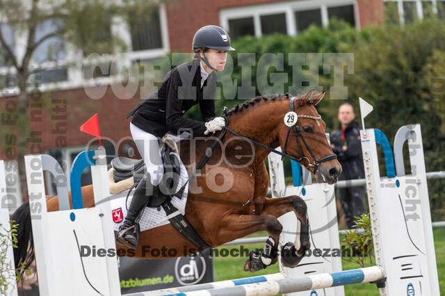 Goldene Schärpe 2020 - Pferde