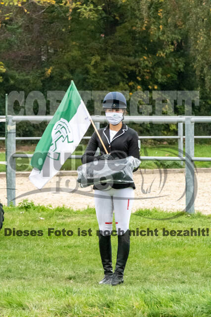 Goldene Schärpe 2020 - Pferde