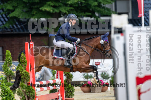 Goldene Schärpe 2021 - Ponys