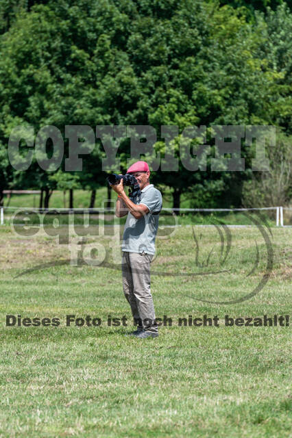 Goldene Schärpe 2021 - Ponys