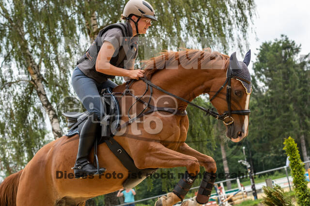 Hunter Geländetraining 10.07.2021 (Sonsbeck)