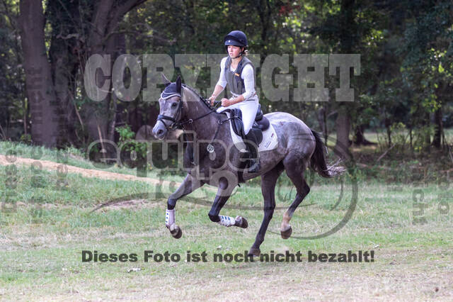 Late-Entry Vielseitigkeit Hamminkeln/Wesel (01.+02.08.2020)