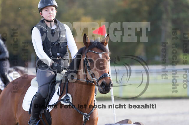 IGV Lehrgang der Sieger der Cups mit Frank Ostholt