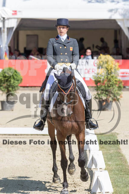 FEI European Championship Eventing 2017