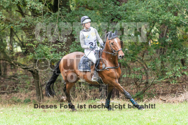 Vielseitigkeit RSV Wesel Obrighoven (26.+27.09.2020)