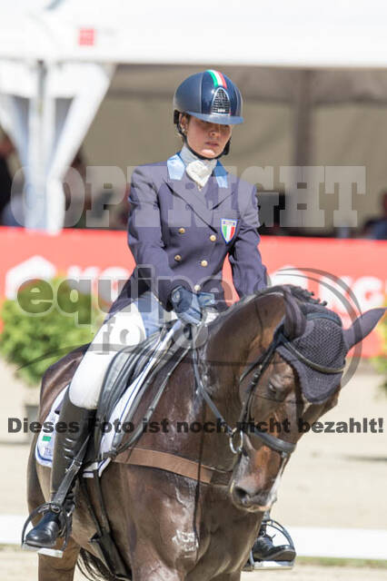 FEI European Championship