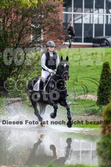 Goldene Schärpe 2020 - Pferde