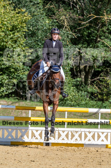 RFV Dinslaken-Hiesfeld (Herbstturnier)