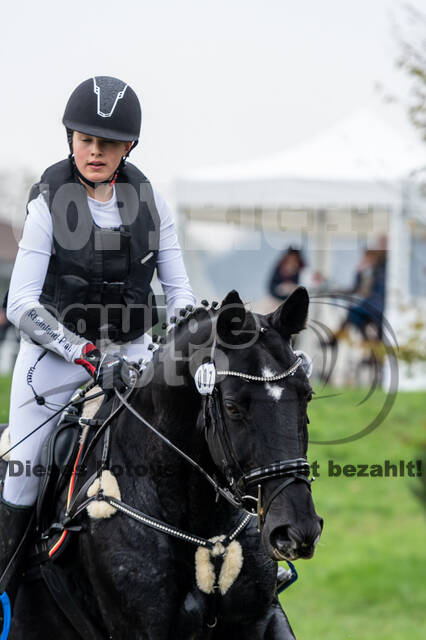 Goldene Schärpe 2020 - Pferde