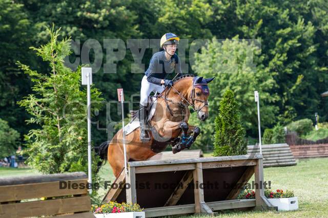 Goldene Schärpe 2021 - Ponys