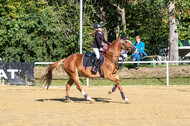 RFV Dinslaken-Hiesfeld (Herbstturnier)