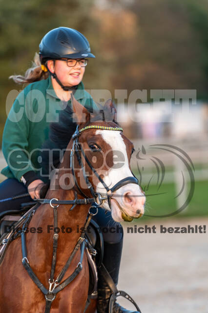 IGV Lehrgang der Sieger der Cups mit Frank Ostholt