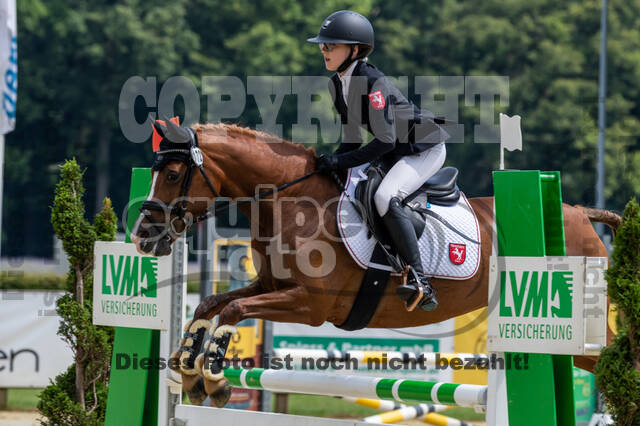 Goldene Schärpe 2021 - Ponys