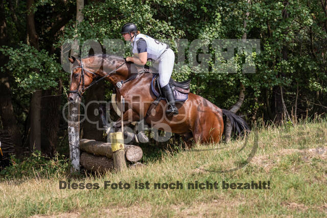 Late-Entry Vielseitigkeit Hamminkeln/Wesel (01.+02.08.2020)