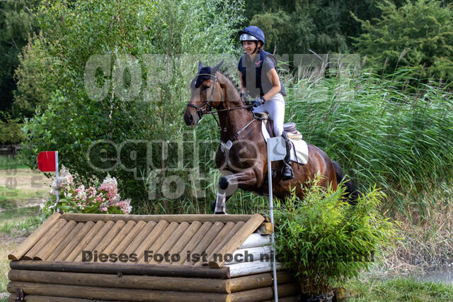 Late-Entry Vielseitigkeit Hamminkeln/Wesel (01.+02.08.2020)