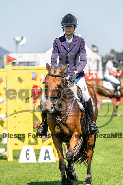 Kronenberg - De Peelbergen (August 2020)