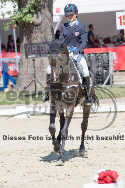 FEI European Championship