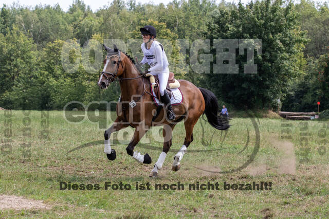 Late-Entry-Vielseitigkeit Gahlen (18.07.2020)