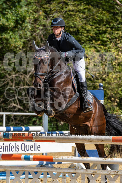 RFV Dinslaken-Hiesfeld (Herbstturnier)