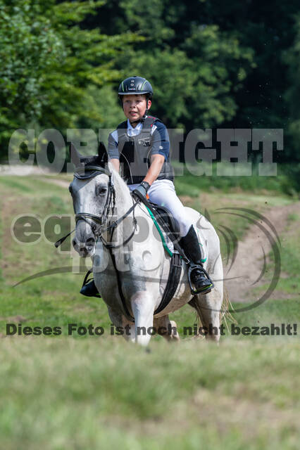 Goldene Schärpe 2021 - Ponys