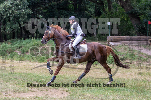 Late-Entry Vielseitigkeit Hamminkeln/Wesel (01.+02.08.2020)