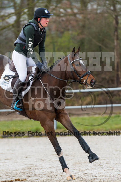 Eventing im Pferdesportzentrum Rheinland (Late Entry 14.03.2022)