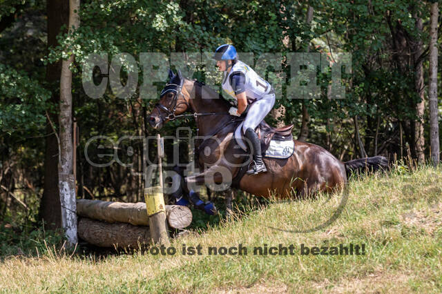 Late-Entry Vielseitigkeit Hamminkeln/Wesel (01.+02.08.2020)