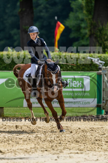 Goldene Schärpe 2021 - Ponys