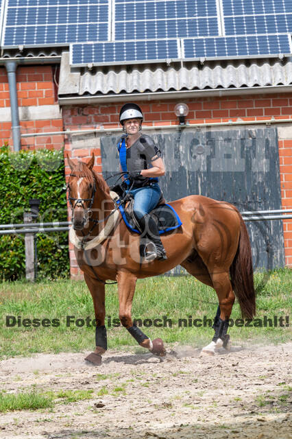 Hunter Geländetraining 10.07.2021 (Sonsbeck)
