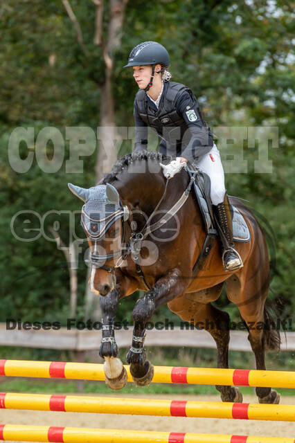 Vielseitigkeit RSV Wesel Obrighoven (26.+27.09.2020)