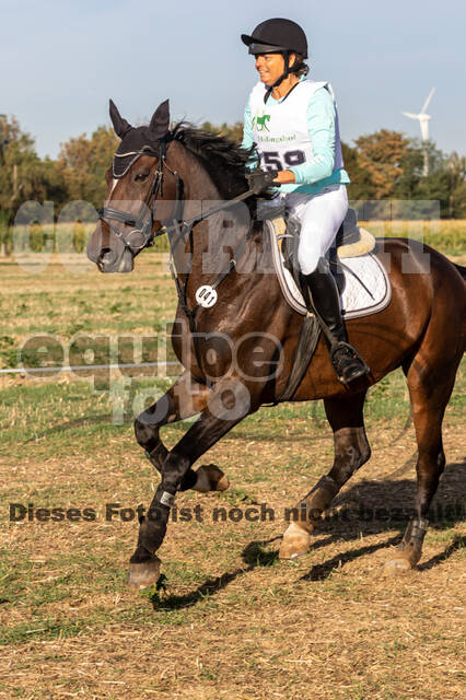 IGV Kleve - Vielseitigkeitsturnier