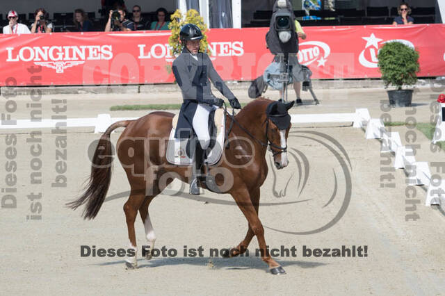 FEI European Championship Eventing 2017