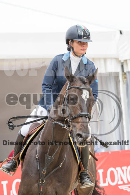 FEI European Championship