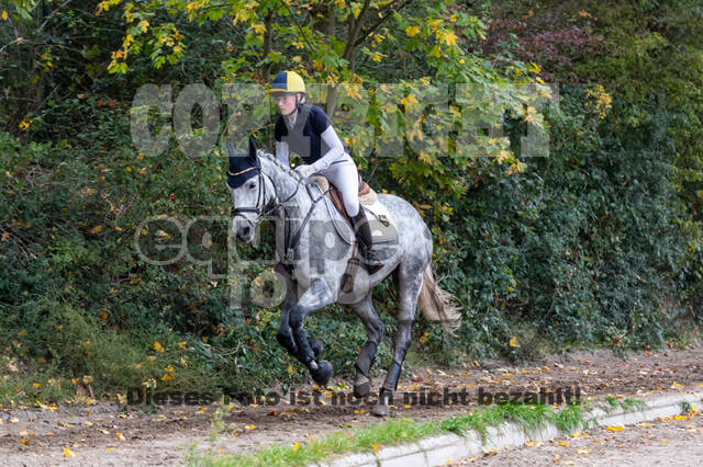 Goldene Schärpe 2020 - Pferde