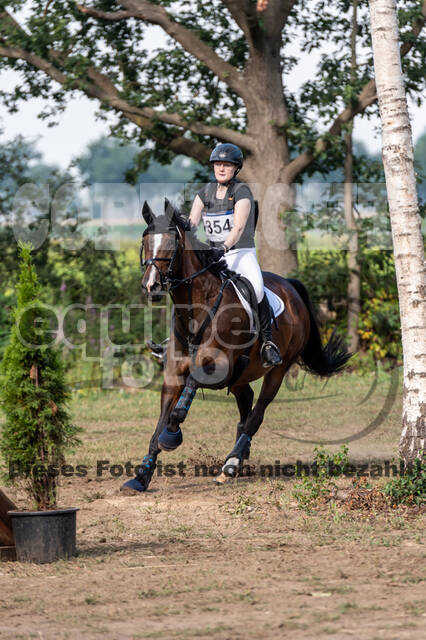 De Peelbergen (August 2020)