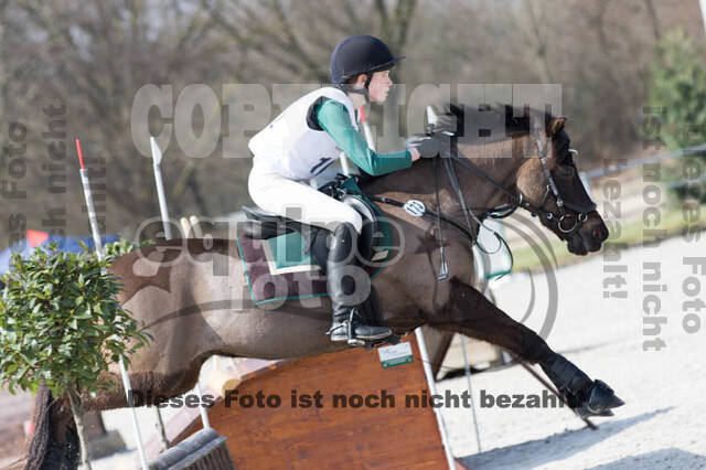 Eventing Langenfeld 2018