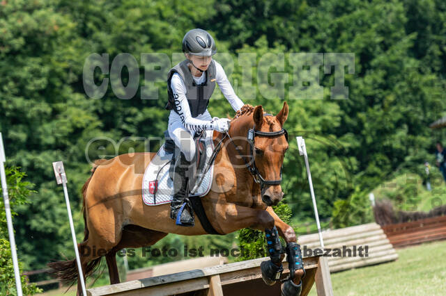 Goldene Schärpe 2021 - Ponys