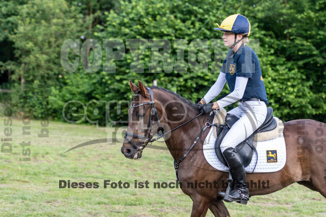 Goldene Schärpe 2021 - Ponys