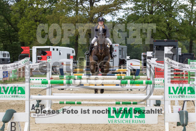 Sterne über Münster 2019 - CCI***S