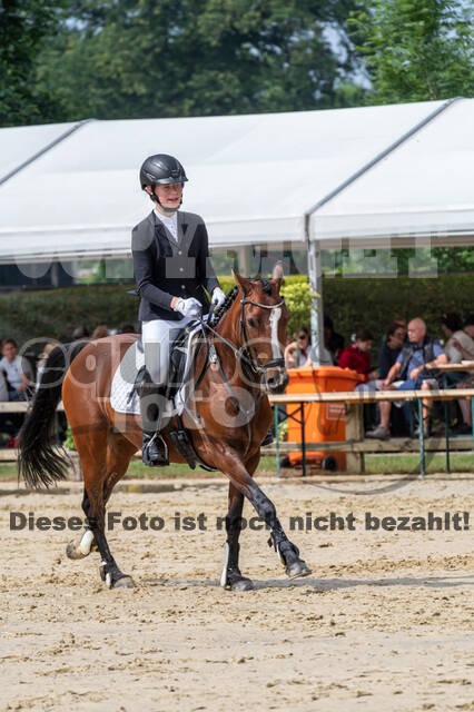 Goldene Schärpe 2021 - Ponys