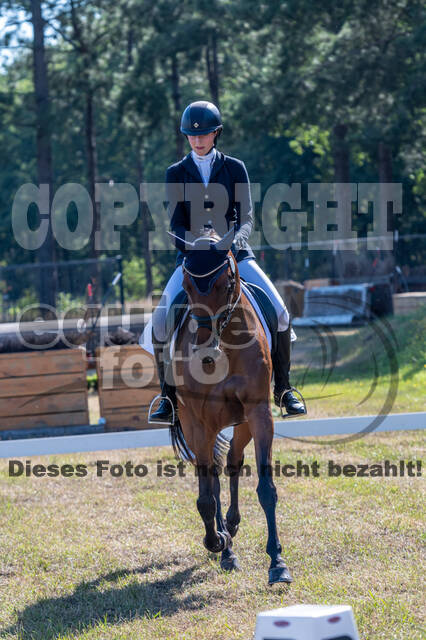 Kronenberg - De Peelbergen (August 2020)