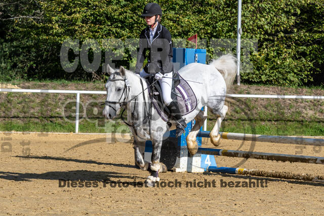 RFV Dinslaken-Hiesfeld (Herbstturnier)