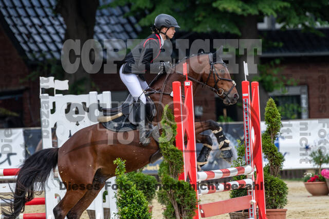 Goldene Schärpe 2021 - Ponys