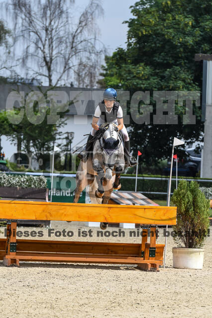 Late-Entry-Vielseitigkeit Langenfeld (11.+13./14.06.2020)