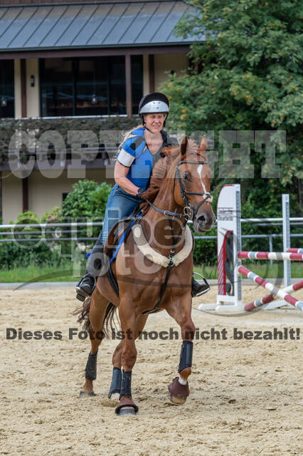 Hunter Geländetraining 10.07.2021 (Sonsbeck)