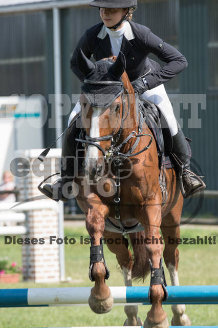 Vielseitigkeitsturnier ZRuFV von Lützow Hamminkeln