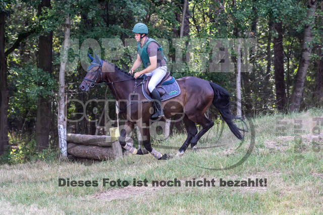 Late-Entry Vielseitigkeit Hamminkeln/Wesel (01.+02.08.2020)