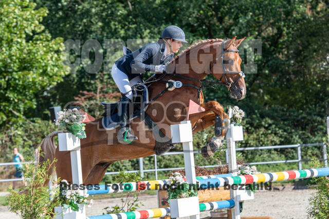 Landesturnier Rheinland, Vielseitigkeit, 22.+23.08.2020
